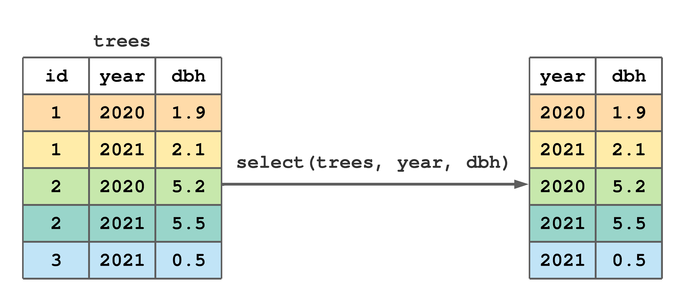 The Big Lab: Forest Inventory Workflows and Review